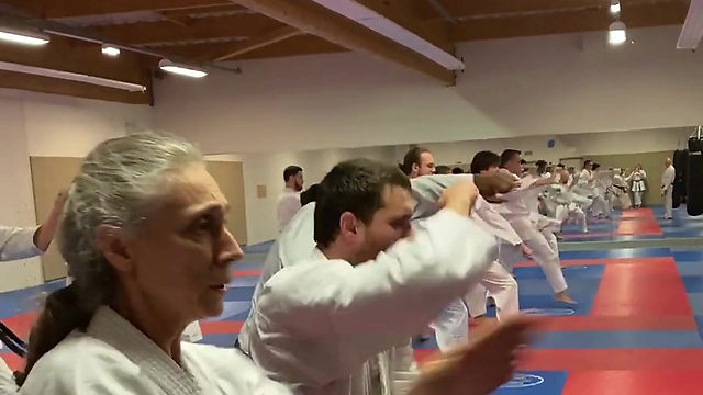 video karate adulte